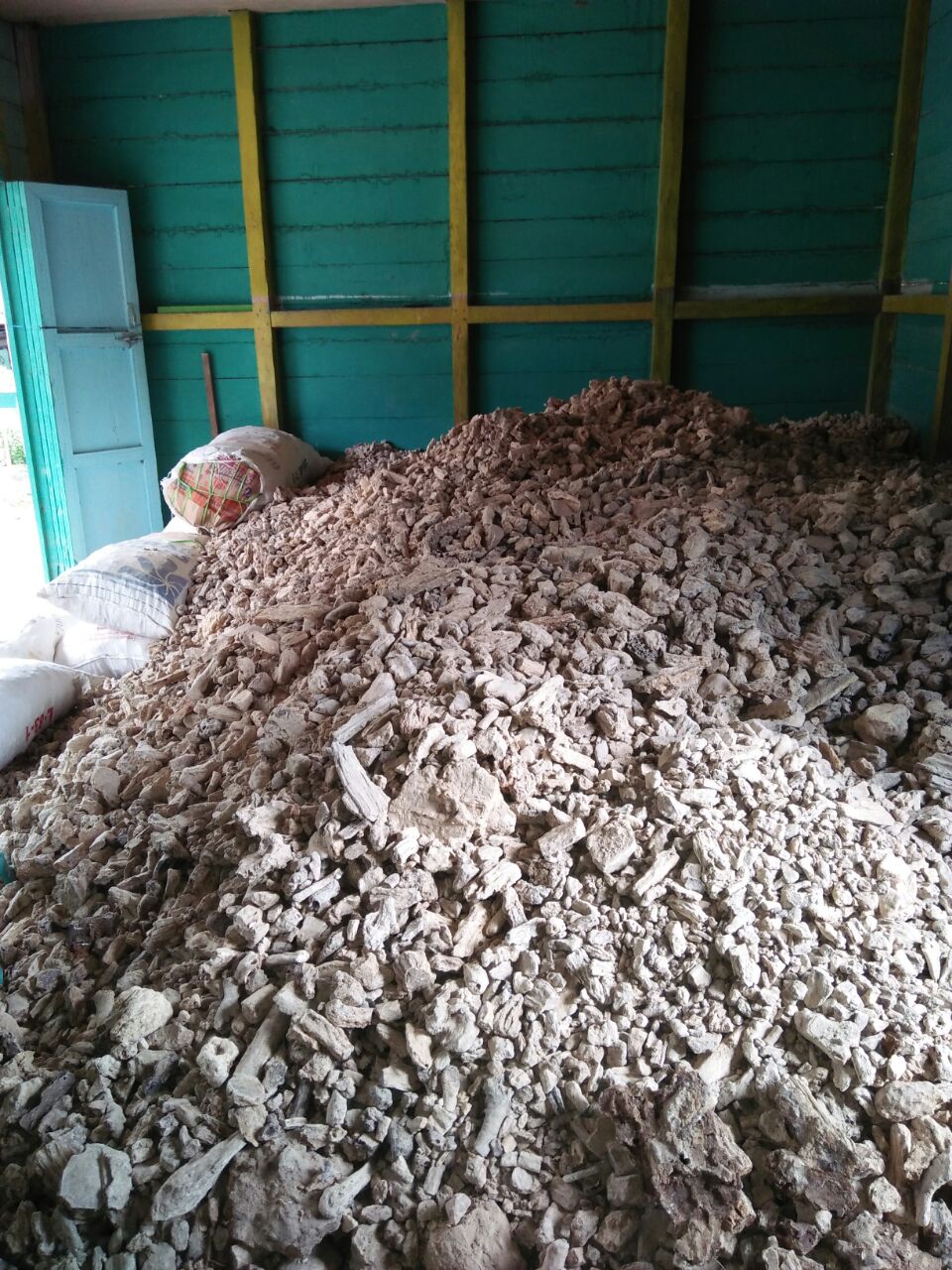 dammar gum